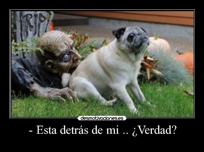 - Esta detrás de mi .. ¿Verdad? -