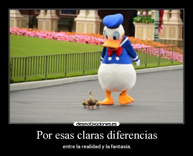 Por esas claras diferencias - entre la realidad y la fantasía.