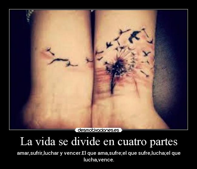 La vida se divide en cuatro partes - amar,sufrir,luchar y vencer.El que ama,sufre;el que sufre,lucha;el que lucha,vence.