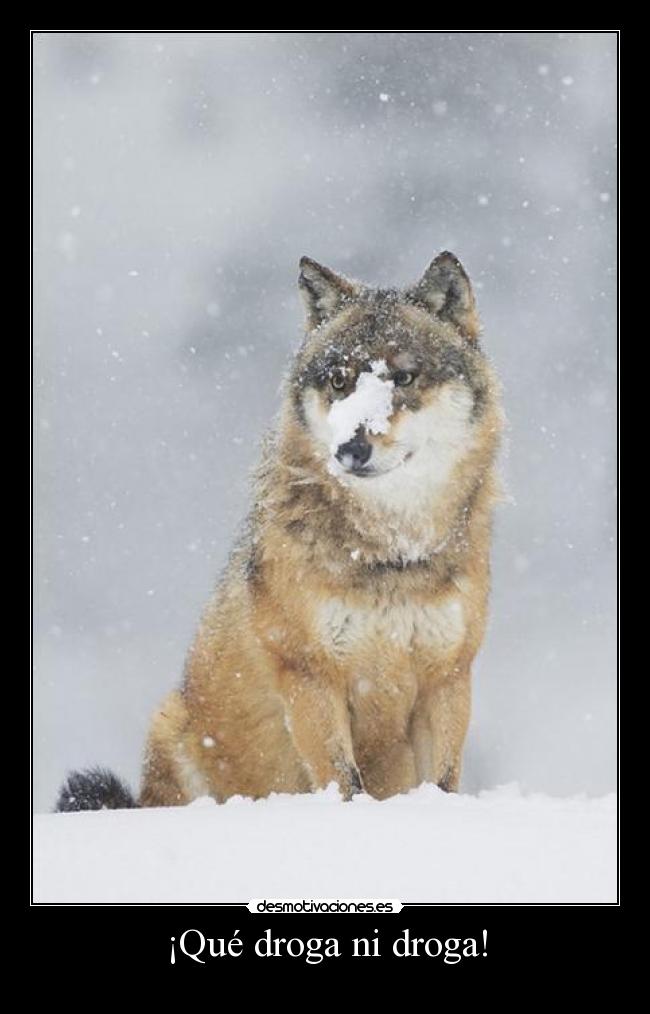 ¡Qué droga ni droga! -