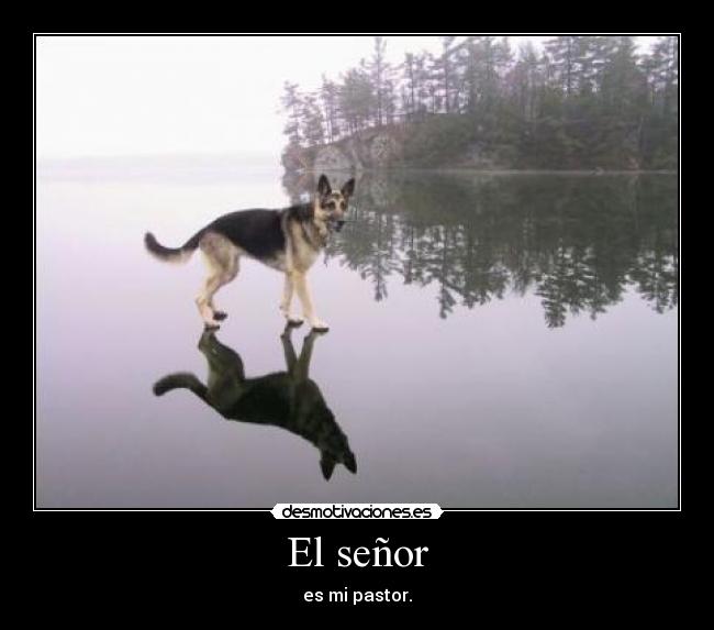 carteles adsasdasdasdasdasdasdasd desmotivaciones