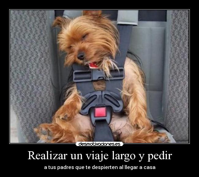 Realizar un viaje largo y pedir - 