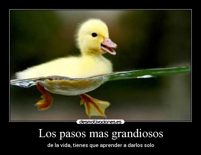 Los pasos mas grandiosos -