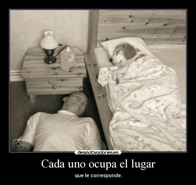 Cada uno ocupa el lugar - que le corresponde.