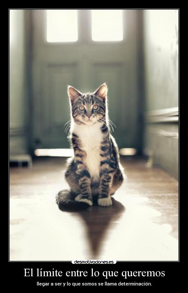 El límite entre lo que queremos - 