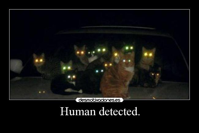 Human detected. -