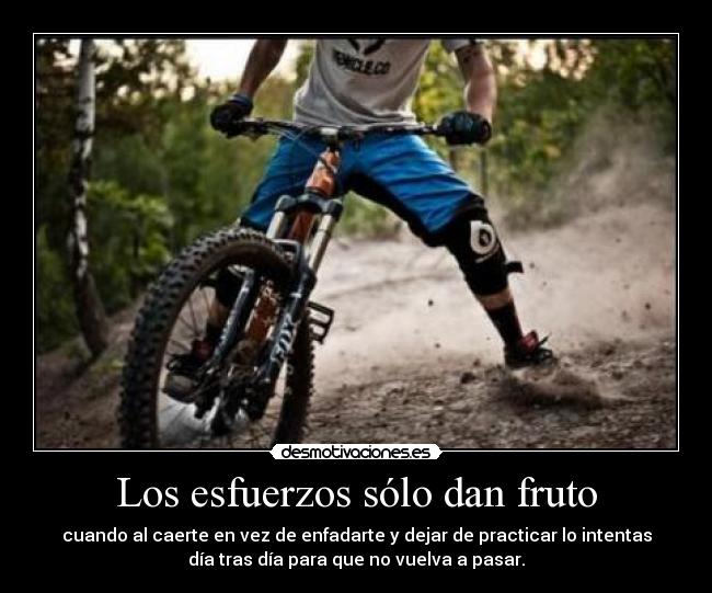 Los esfuerzos sólo dan fruto -