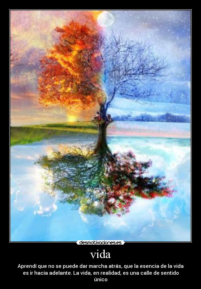 vida - Aprendí que no se puede dar marcha atrás, que la esencia de la vida
es ir hacia adelante. La vida, en realidad, es una calle de sentido
único