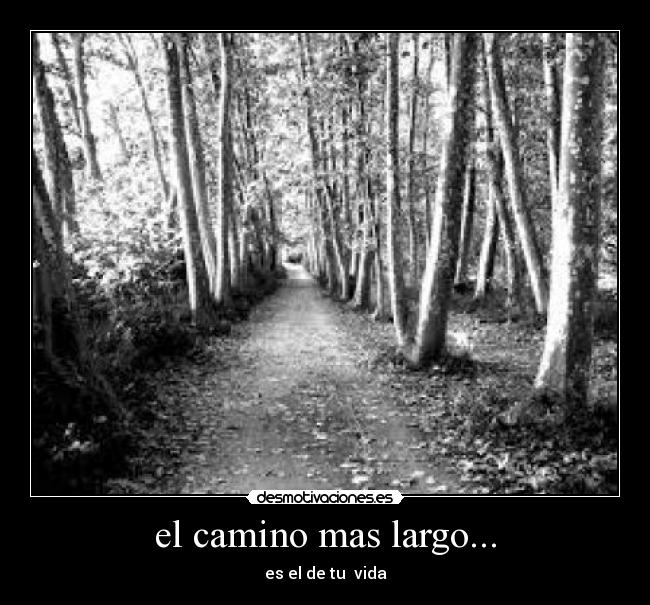 el camino mas largo... - es el de tu  vida