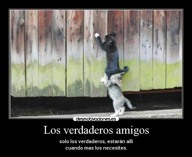 Los verdaderos amigos -