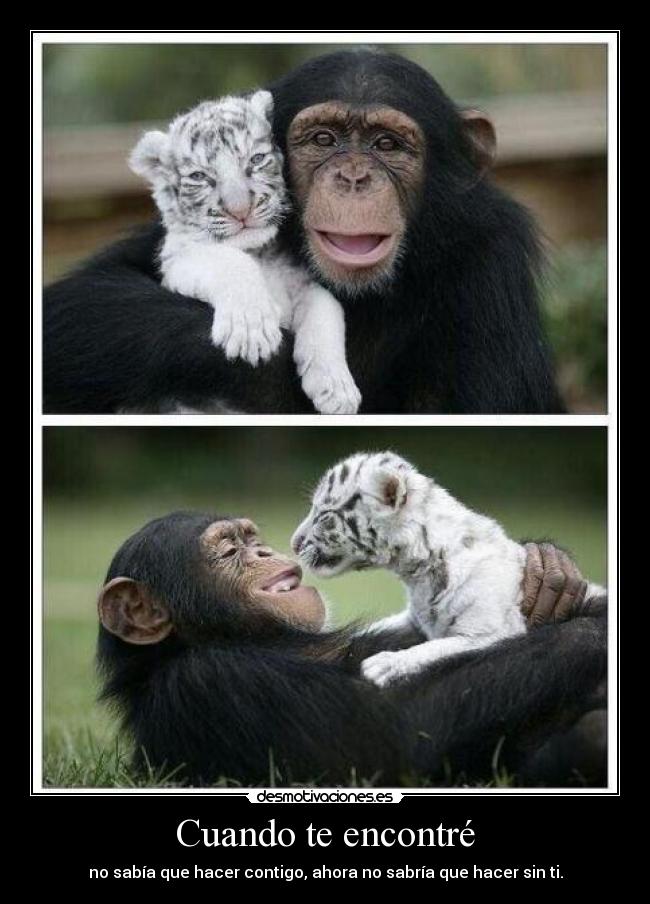 Cuando te encontré - no sabía que hacer contigo, ahora no sabría que hacer sin ti.