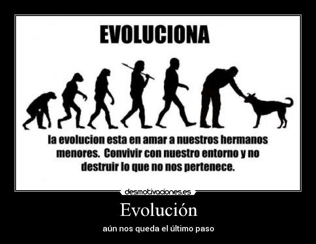 carteles ali desmotivaciones