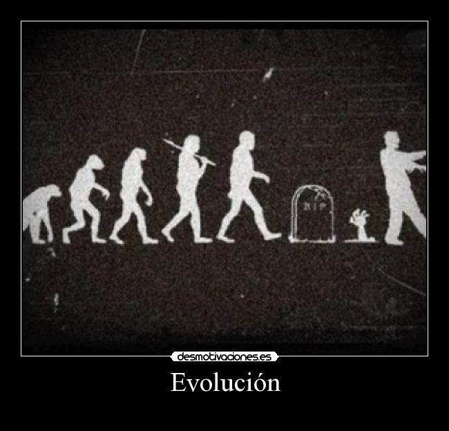 Evolución - 