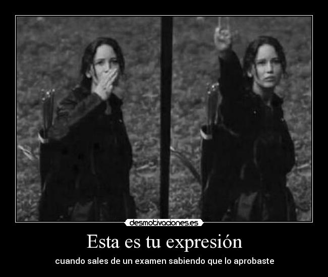 carteles jajajajaja paso otro dia vamos carajo que falta pocoooo desmotivaciones