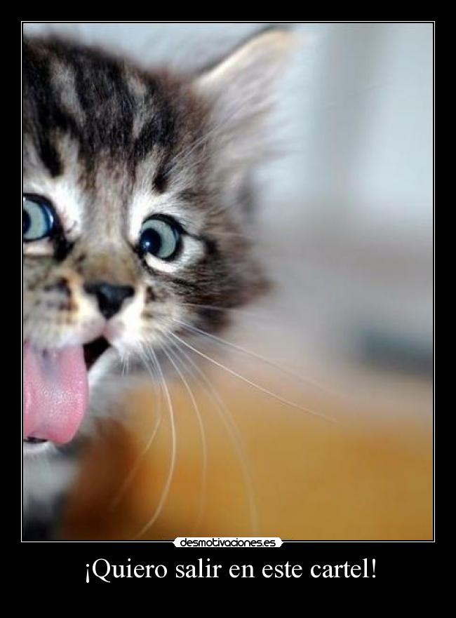 ¡Quiero salir en este cartel! - 