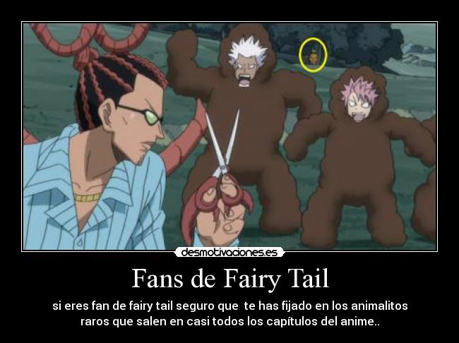 Fans de Fairy Tail - si eres fan de fairy tail seguro que  te has fijado en los animalitos
raros que salen en casi todos los capítulos del anime..