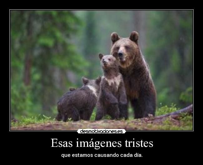 Esas imágenes tristes - que estamos causando cada día.