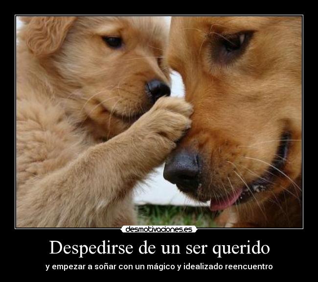 Imagenes Tristes De Despedida De Un Ser Querido | despedirse de un ser querido desmotivaciones Imagenes Tristes De Despedida De Un Ser Querido | despedirse de un ser querido desmotivaciones