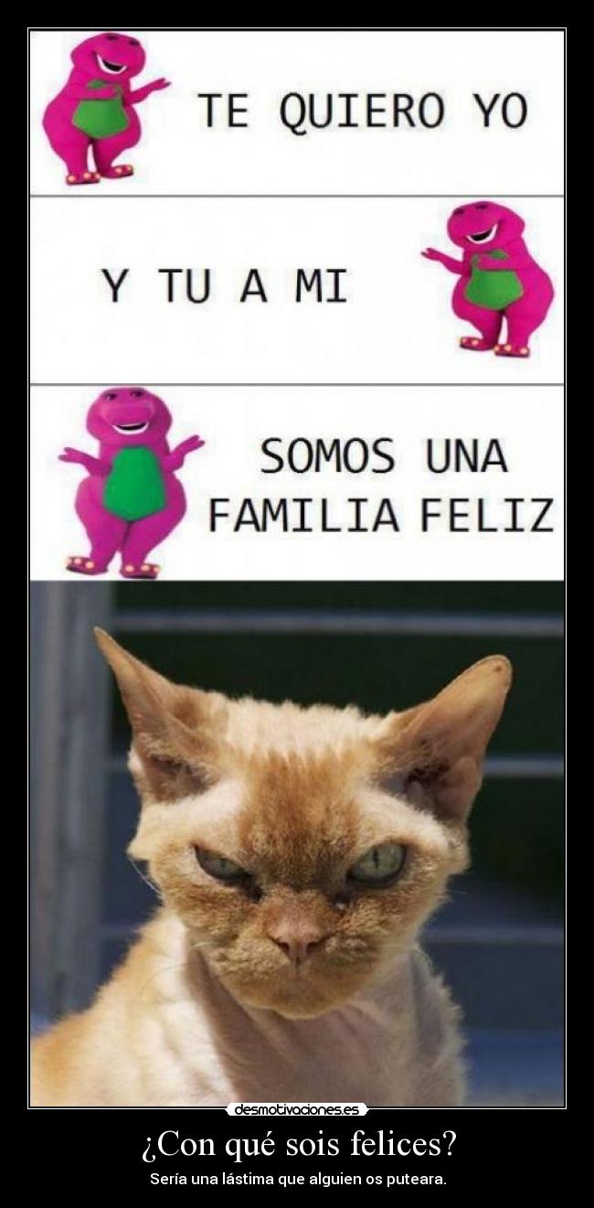 ¿Con qué sois felices? - Sería una lástima que alguien os puteara.