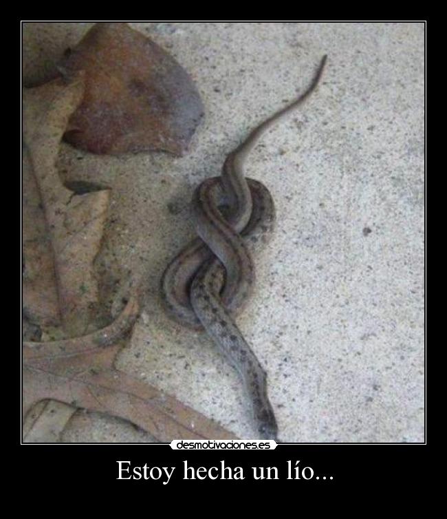 Estoy hecha un lío... -