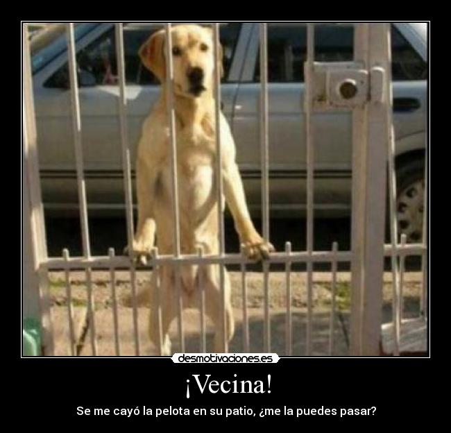 ¡Vecina! - 