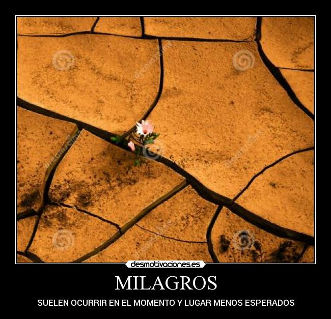 MILAGROS -