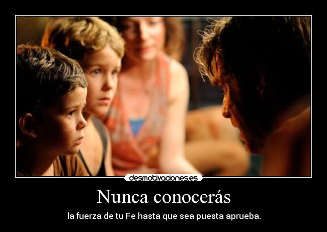 Nunca conocerás -