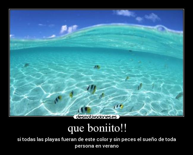 que boniito!! - si todas las playas fueran de este color y sin peces el sueño de toda
persona en verano