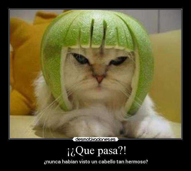 ¡¿Que pasa?! - 