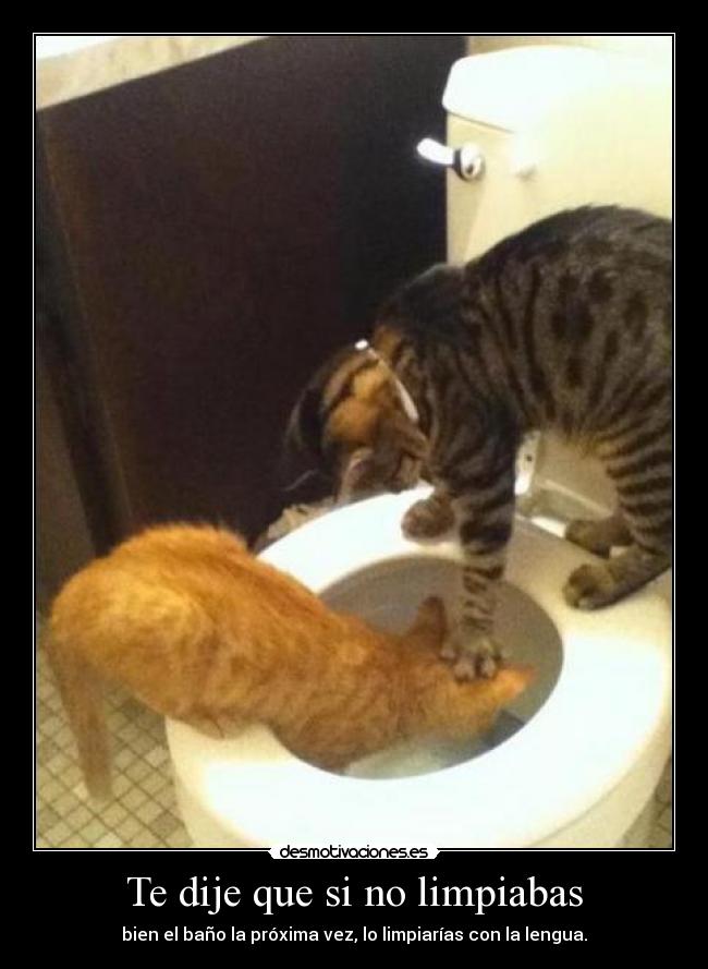 carteles samelove pashulshulomipirulo laura ojos inyectados sangre por culpa las hemorroides desmotivaciones