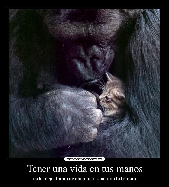 Tener una vida en tus manos - 