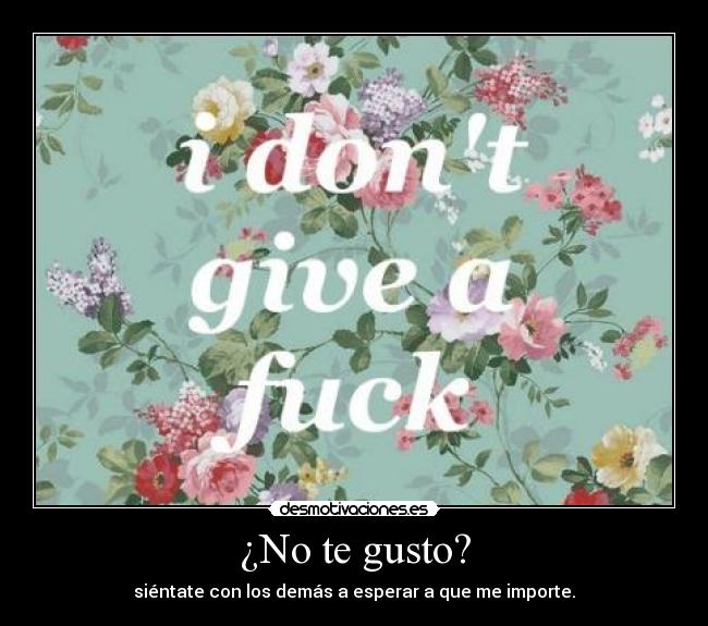 ¿No te gusto? -