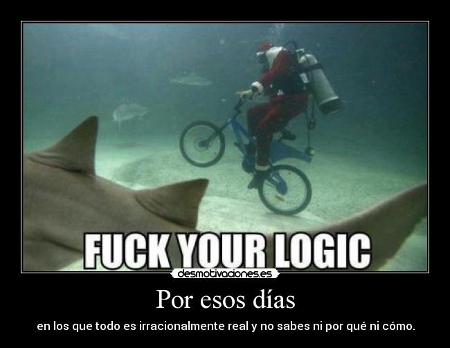 Por esos días - en los que todo es irracionalmente real y no sabes ni por qué ni cómo.