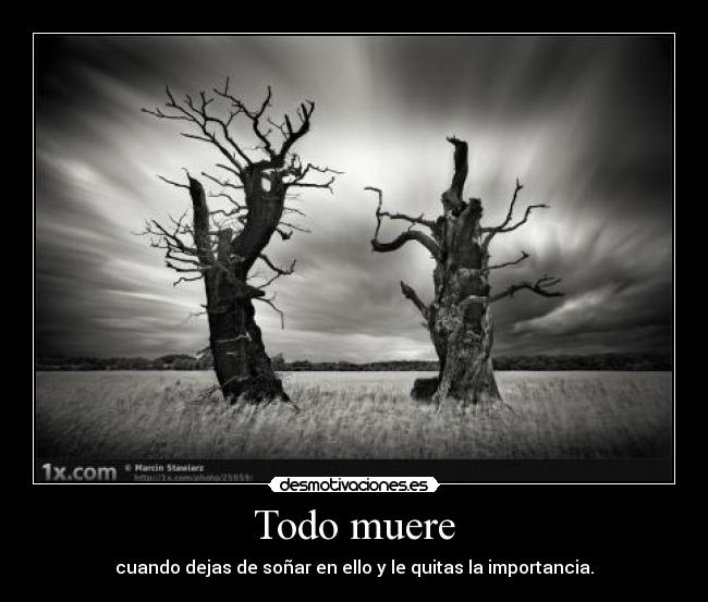 Todo muere -