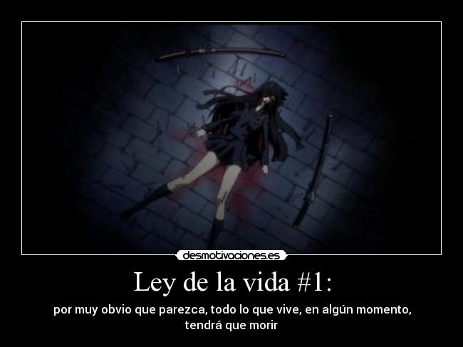 Ley de la vida #1: - 