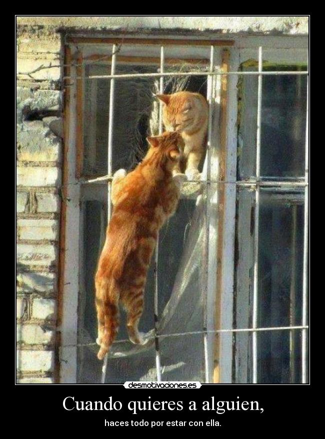 Cuando quieres a alguien, - haces todo por estar con ella.