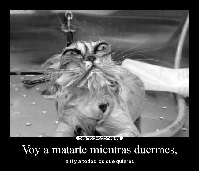 Voy a matarte mientras duermes, - a ti y a todos los que quieres