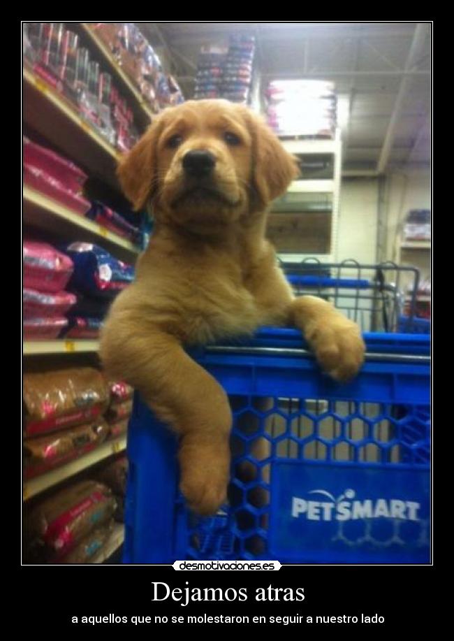 Dejamos atras - a aquellos que no se molestaron en seguir a nuestro lado