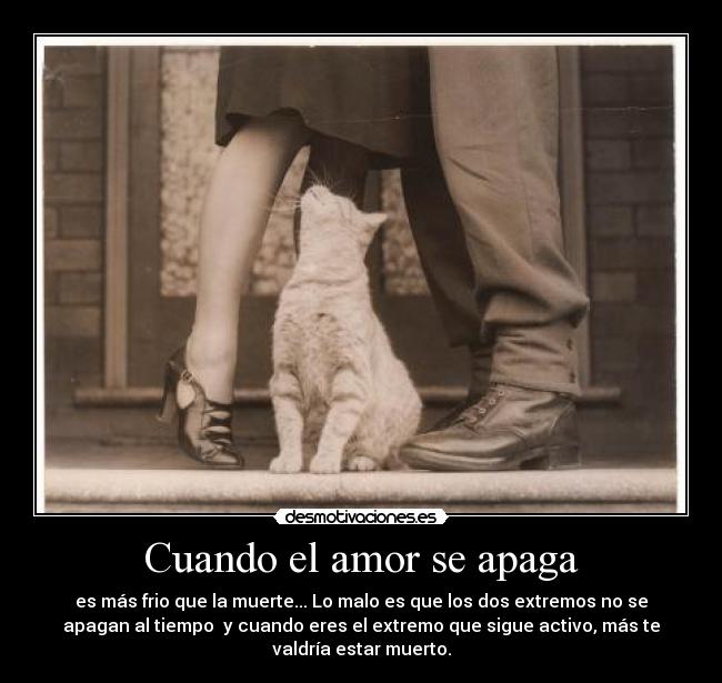 Cuando el amor se apaga - es más frio que la muerte... Lo malo es que los dos extremos no se
apagan al tiempo y cuando eres el extremo que sigue activo, más te
valdría estar muerto.