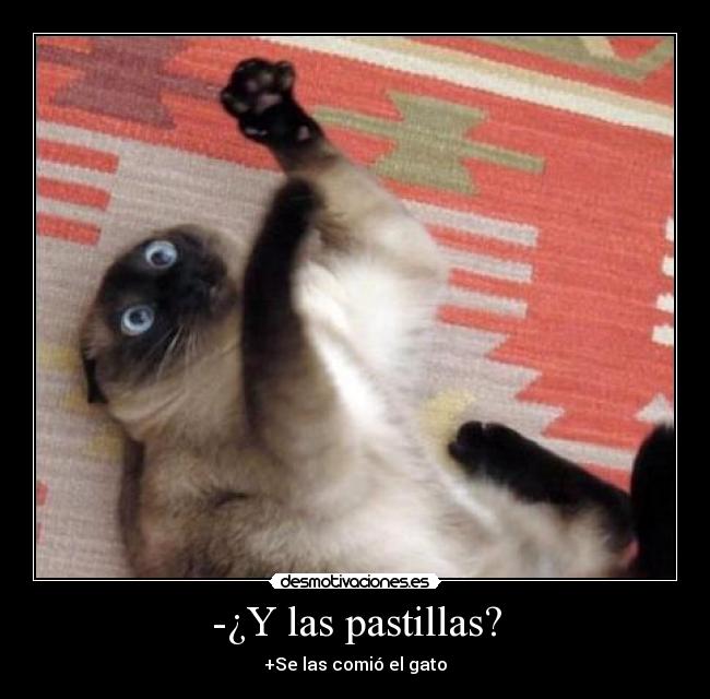 -¿Y las pastillas? - +Se las comió el gato