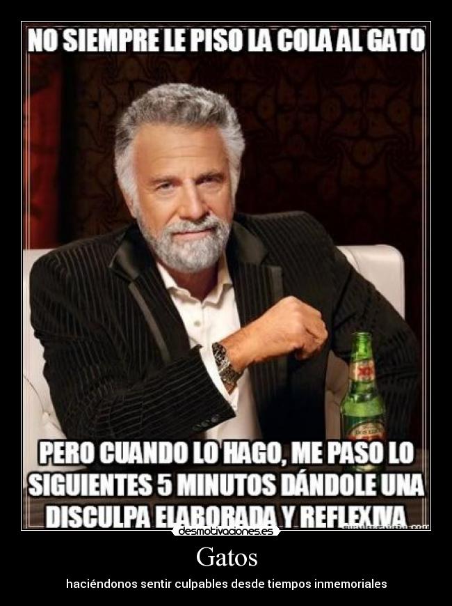 Gatos - haciéndonos sentir culpables desde tiempos inmemoriales