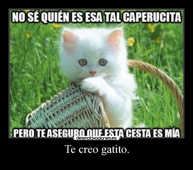 Te creo gatito. -