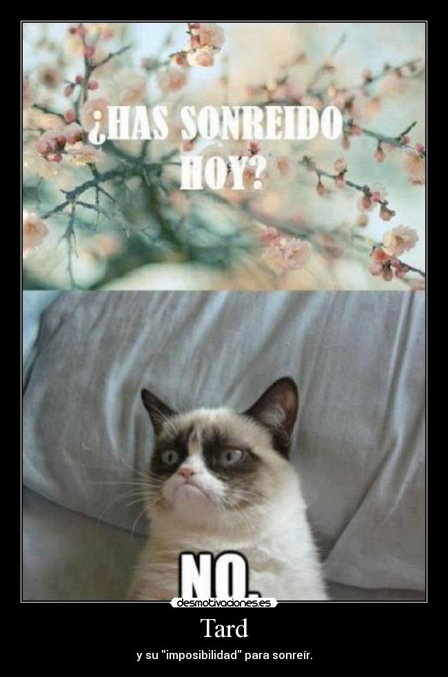 Tard - y su imposibilidad para sonreír.