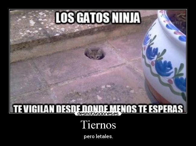 Tiernos - pero letales.