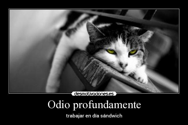 Odio profundamente -