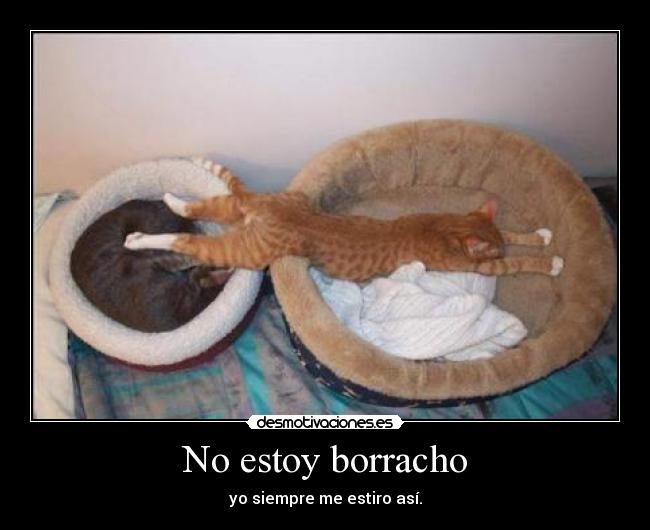 No estoy borracho - yo siempre me estiro así.
