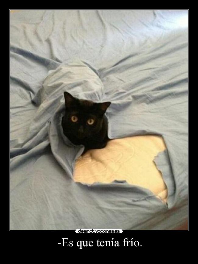 -Es que tenía frío. -