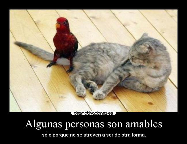 Algunas personas son amables -