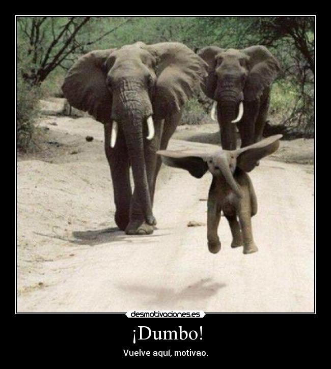 carteles bizcobizcobizcobizcobizcobizcobizcobizcobizcobizcobizcobizcobizcobizcobizcobizcobizcobizcocho desmotivaciones