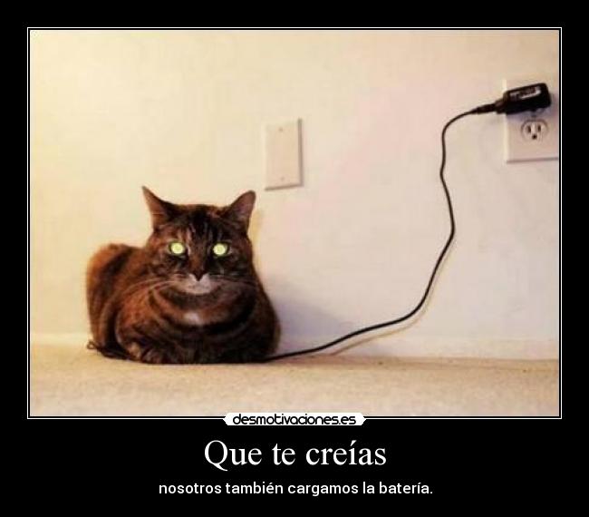 carteles bizcobizcobizcobizcobizcobizcobizcobizcobizcobizcobizcobizcobizcobizcobizcobizcobizcobizcocho desmotivaciones